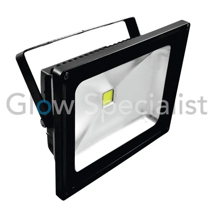 Eurolite EUROLITE LED IP FL‑50 COB UV – 50W UV Floodlight IP65 Blacklight