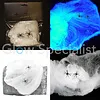 HALLOWEEN SPIDER WEB WITH 2 SPIDERS - WHITE - UV - 20 GRAM