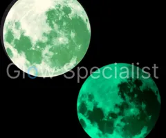 GLOW IN THE DARK MOON STICKER - 5 CM - 5 PIECES