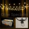 FESTOON LIGHT - 5 M - 10 LED LIGHTS - CLEAR - WARM WHITE - IP44
