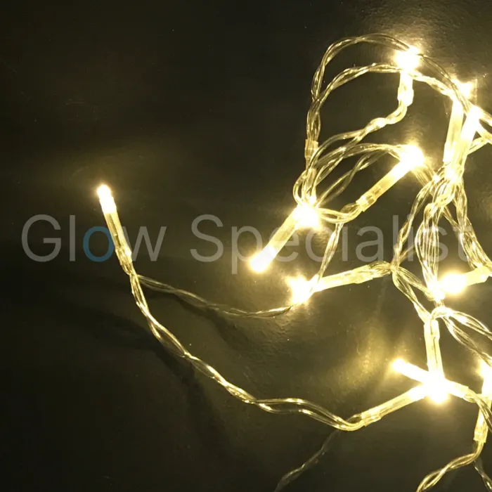 LED LIGHTS - 10 LIGHTS - WARM WHITE
