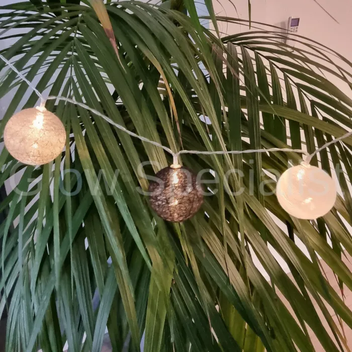 LED LICHTSNOER MET 10 BOLLEN  - WARM WIT