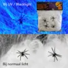 STRETCHABLE SPIDER WEB INCL. 4 SPIDERS - 55 GRAM