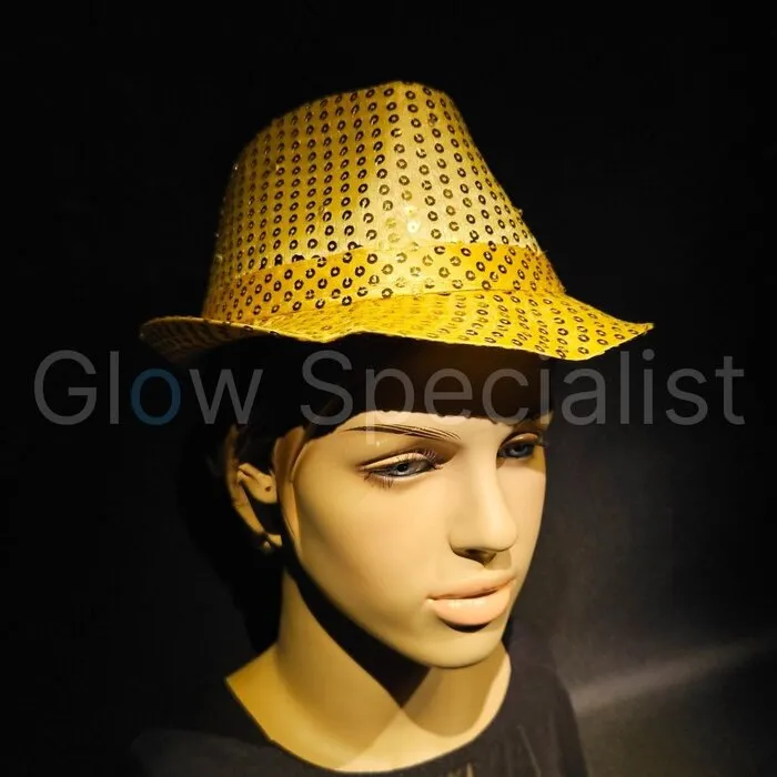 LED GLITTER HAT