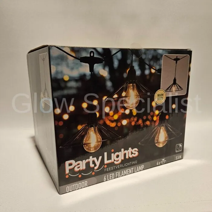 FEESTVERLICHTING LICHTSNOER - OUTDOOR - 5,5 M - 6 LED FILAMENT LAMPEN