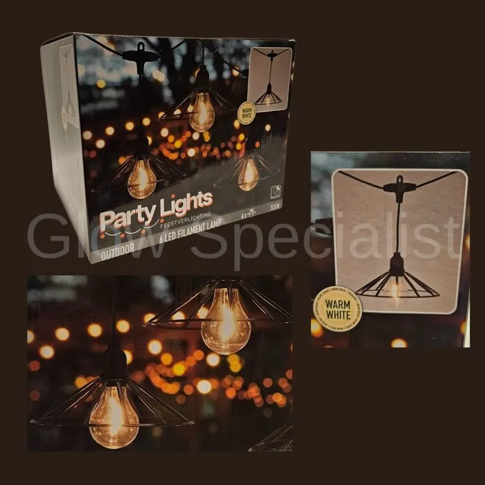 FEESTVERLICHTING LICHTSNOER - OUTDOOR - 5,5 M - 6 LED FILAMENT LAMPEN