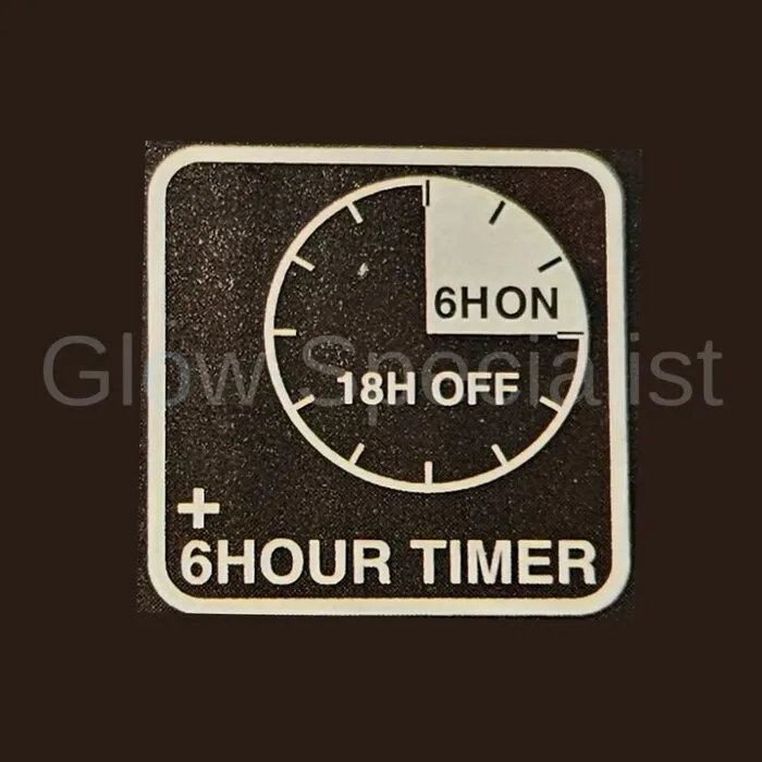 FEESTVERLICHTING LICHTSNOER - OUTDOOR - 5,5 M - 6 LED FILAMENT LAMPEN - 2 SOORTEN