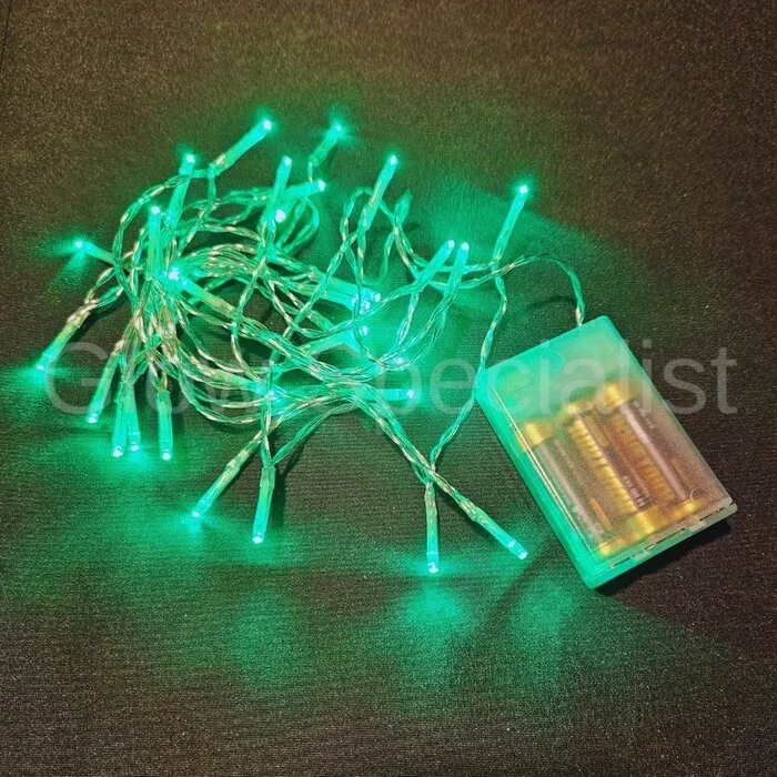LED LIGHTS - 30 LAMPJES - GROEN