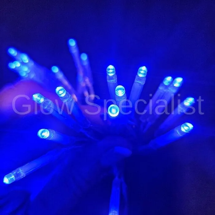 LED LIGHTS - 30 LIGHTS - BLUE