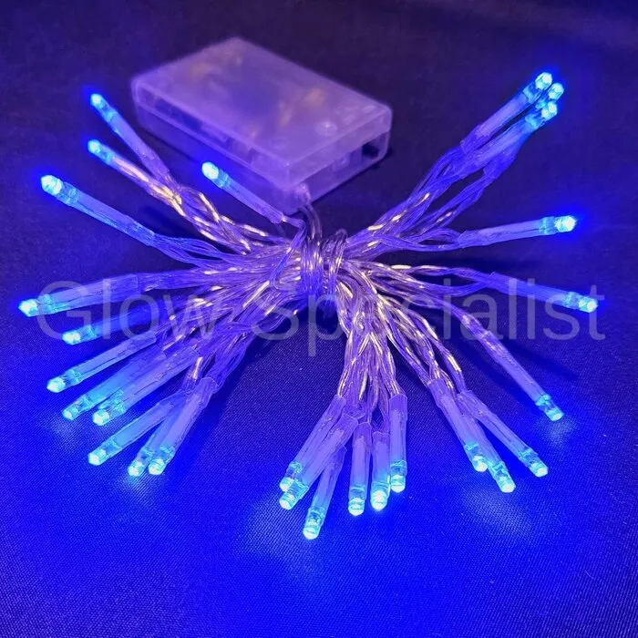 LED LIGHTS - 30 LIGHTS - BLUE