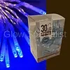 LED LIGHTS - 30 LIGHTS - BLUE