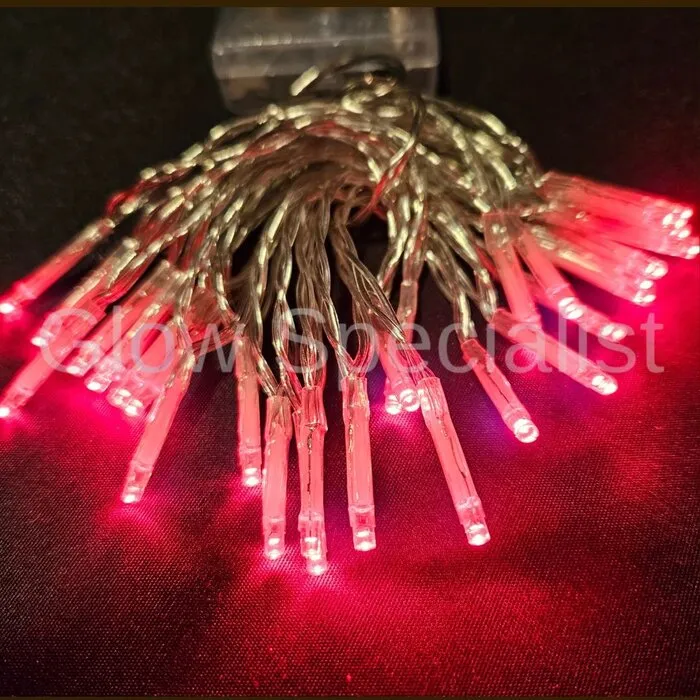 LED LIGHTS - 30 LIGHTS - RED