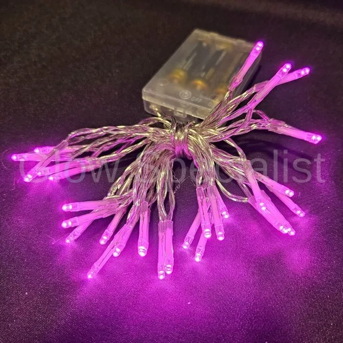 LED LIGHTS - 30 LIGHTS - PINK