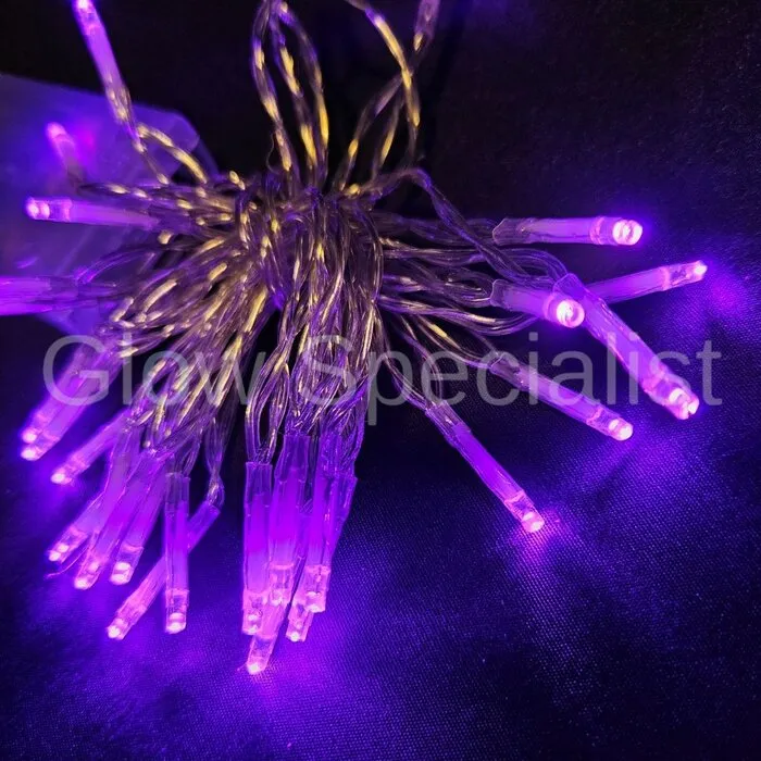LED LIGHTS - 30 LIGHTS - PURPLE