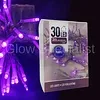 LED LIGHTS - 30 LIGHTS - PURPLE