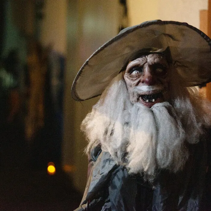 Europalms WIZARD - HALLOWEEN - 190 CM - SOUND, LIGHT AND MOTION - EUROPALMS