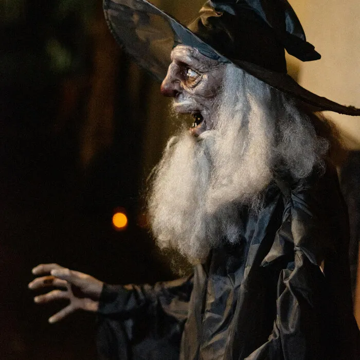 Europalms WIZARD - HALLOWEEN - 190 CM - SOUND, LIGHT AND MOTION - EUROPALMS