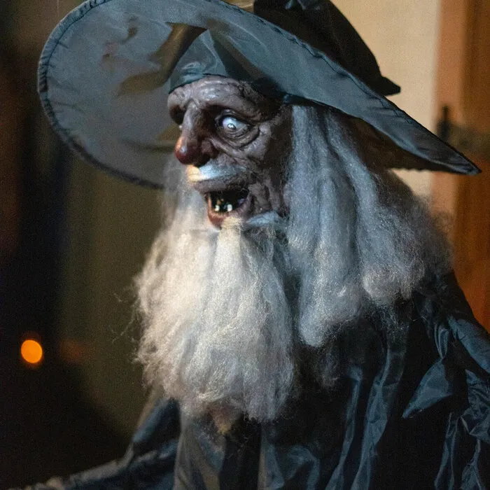 Europalms WIZARD - HALLOWEEN - 190 CM - SOUND, LIGHT AND MOTION - EUROPALMS