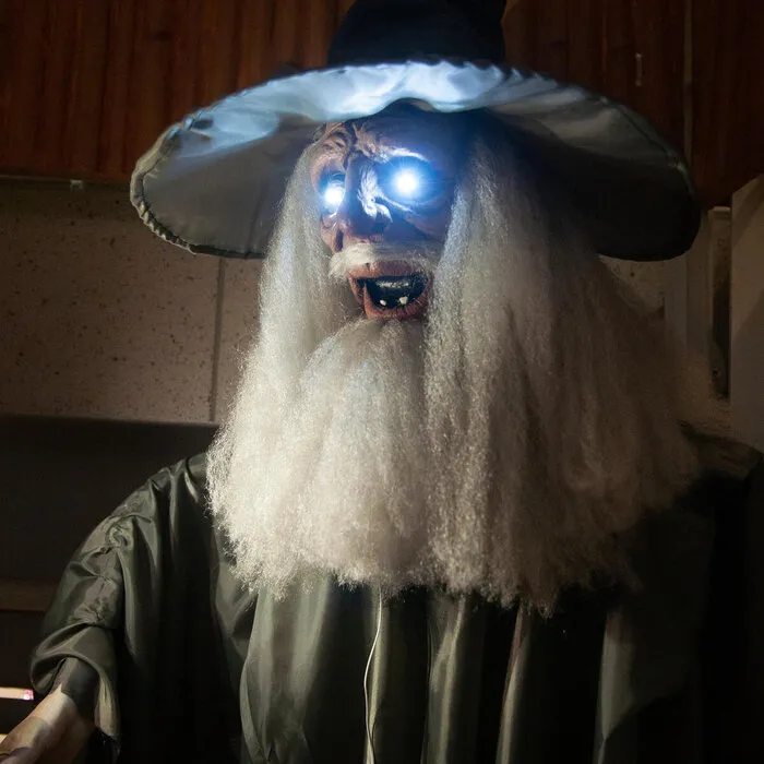 Europalms WIZARD - HALLOWEEN - 190 CM - SOUND, LIGHT AND MOTION - EUROPALMS