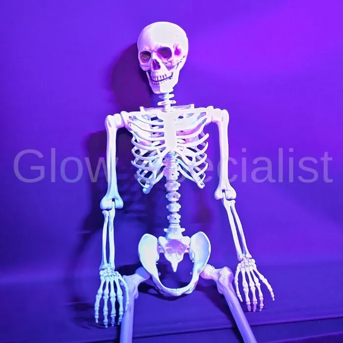 XL SKELET - 165 CM - HALLOWEEN DECORATIE