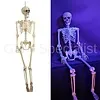 XL SKELETON - 165 CM - HALLOWEEN DECORATION