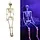 XL SKELETON - 165 CM - HALLOWEEN DECORATION