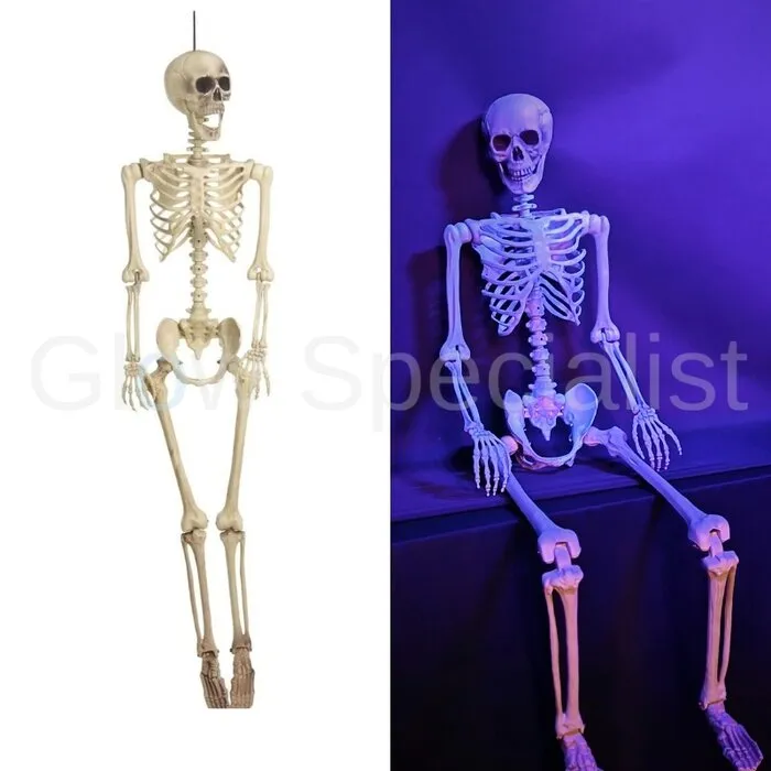 XL SKELETON - 165 CM - HALLOWEEN DECORATION