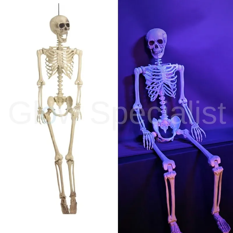 XL SKELETON - 165 CM - HALLOWEEN DECORATION