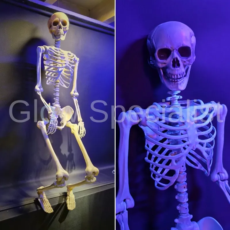XL SKELETON - 165 CM - HALLOWEEN DECORATION