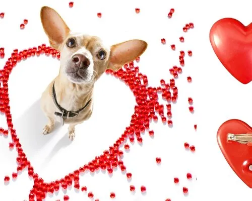 Geef Glow aan je Valentijnsdag 