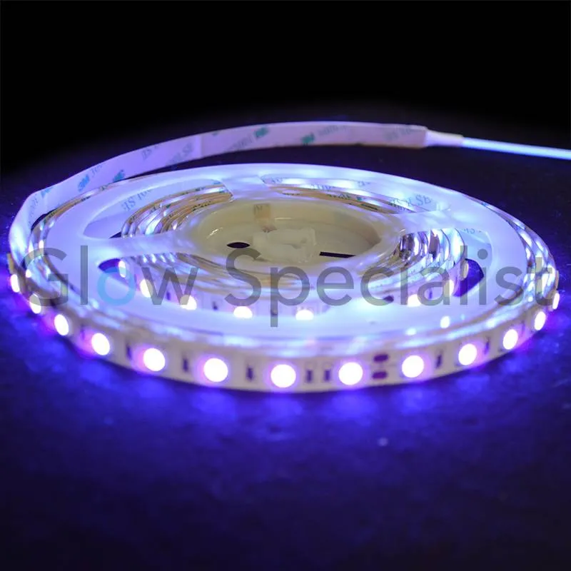 Glow Specialist Glow Specialist UV / Blacklight LED Strip – 5 Meter – 395nm – Intens UV‑effect voor Decor & Glow