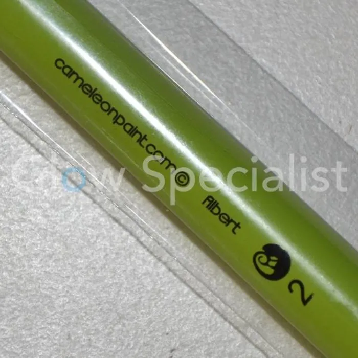 Cameleon CAMELEON FILBERT BRUSH - NR 2 - MEDIUM