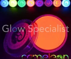 CAMELEON UV SPECIAL EFFECTS PAINT - PINK FLAMINGO