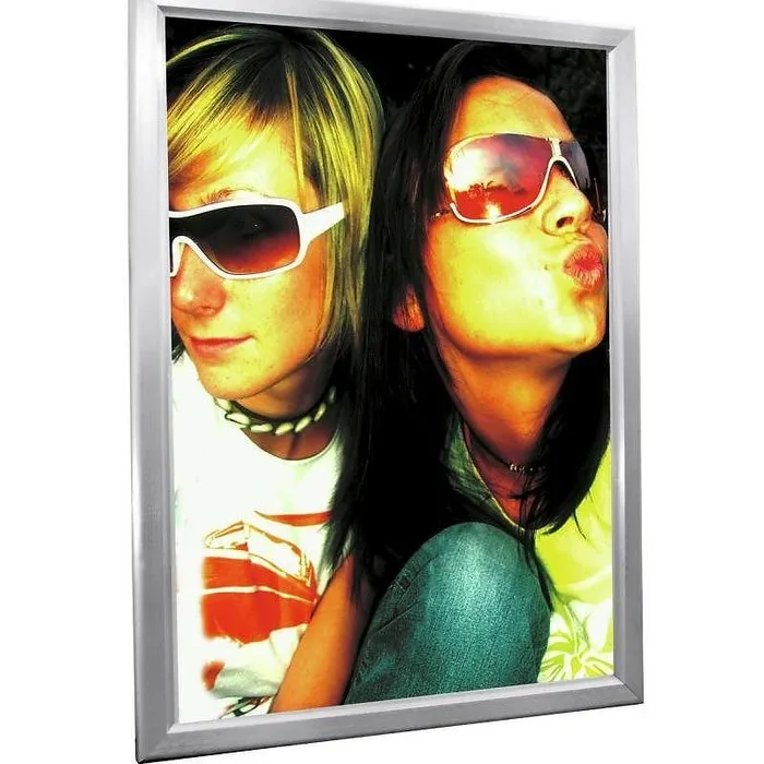 Eurolite LED SNAP FRAME A0 - STAINLESS STEEL