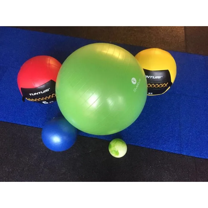 PT Essentials Rubberen Vloerdelen 50 x 50 x 3 cm Zwart | losse verkoop