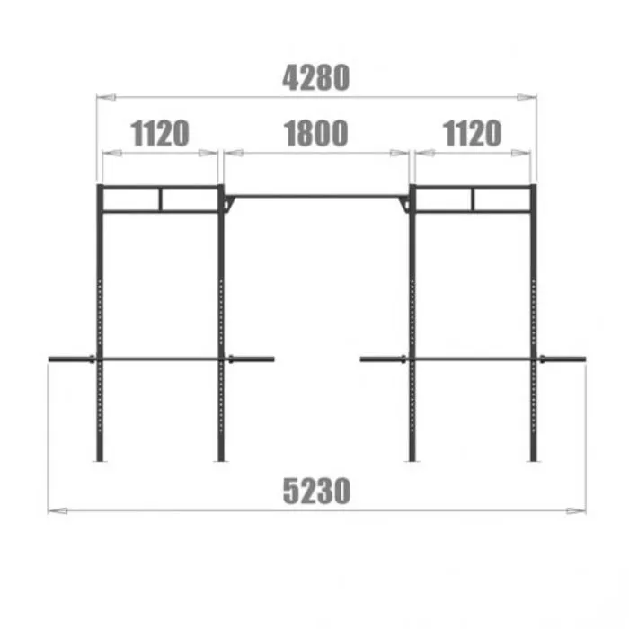 PT Essentials Wall Mount Crossfit Rig V2
