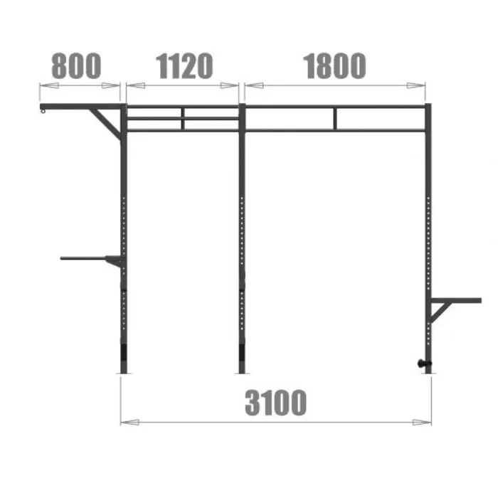 PTessentials Heavy Duty Crossfit Rig V4