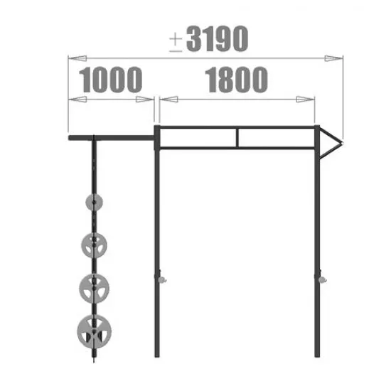 PT Essentials Heavy Duty Crossfit Rig V11