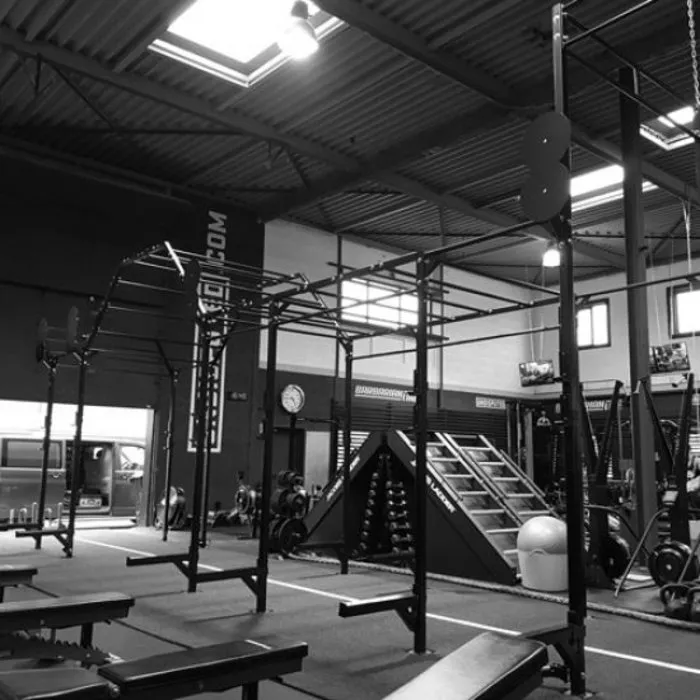 PTessentials Heavy Duty Crossfit Rig V12