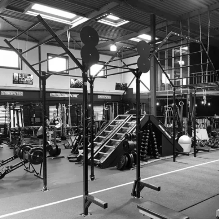 PTessentials Heavy Duty Crossfit Rig V12