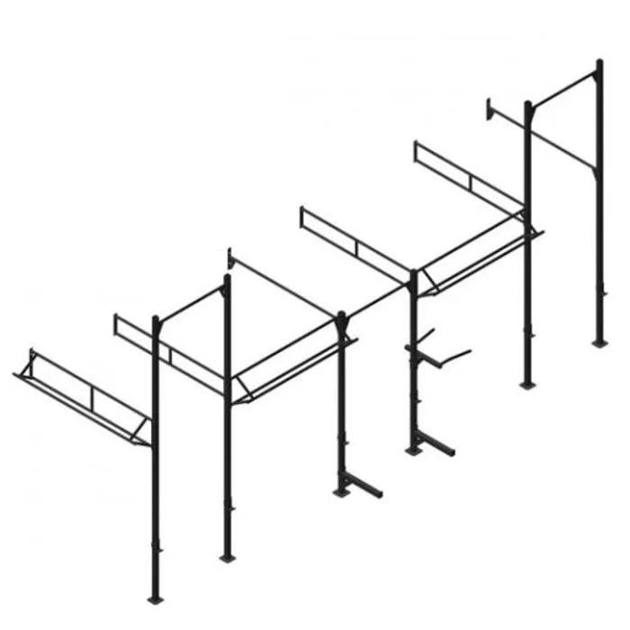 PT Essentials Wall Mount Crossfit Rig V10