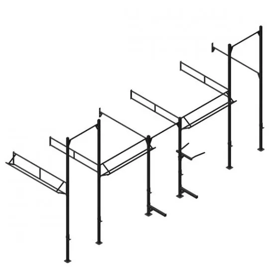 PT Essentials Wall Mount Crossfit Rig V10