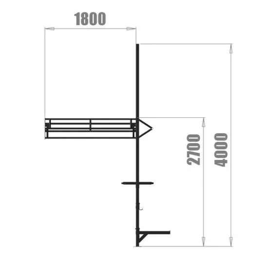 PT Essentials Wall Mount Crossfit Rig V10