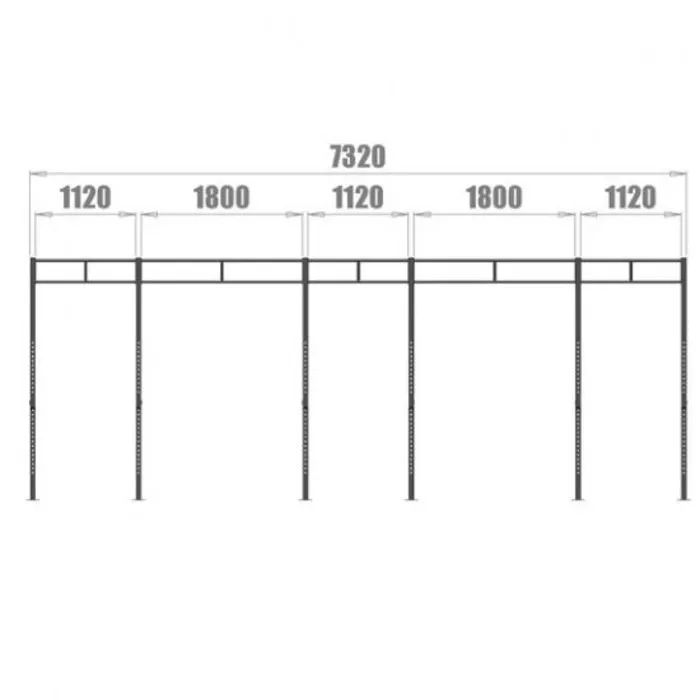 PT Essentials Wall Mount Crossfit Rig V11