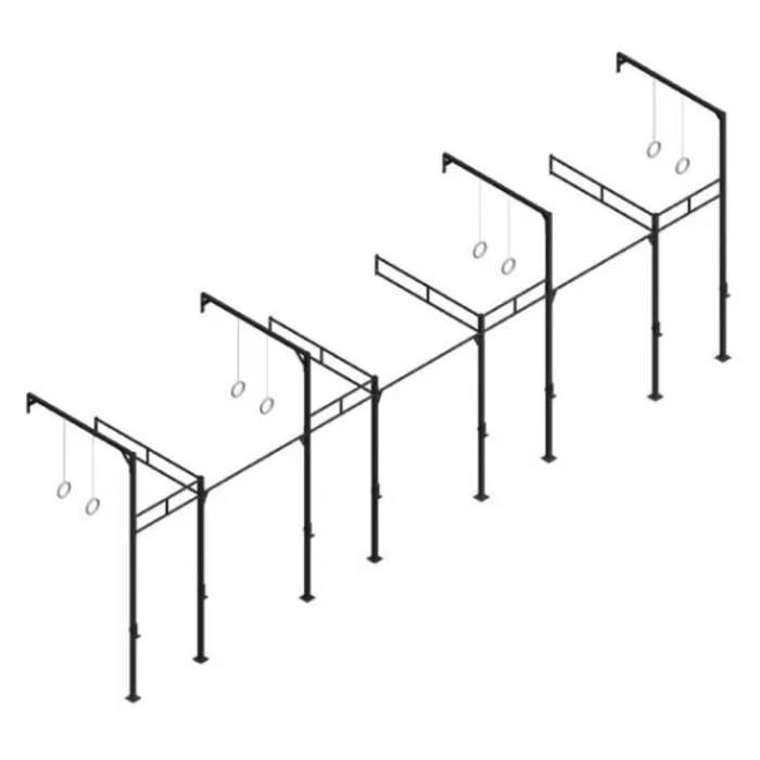 PT Essentials Wall Mount Crossfit Rig V14