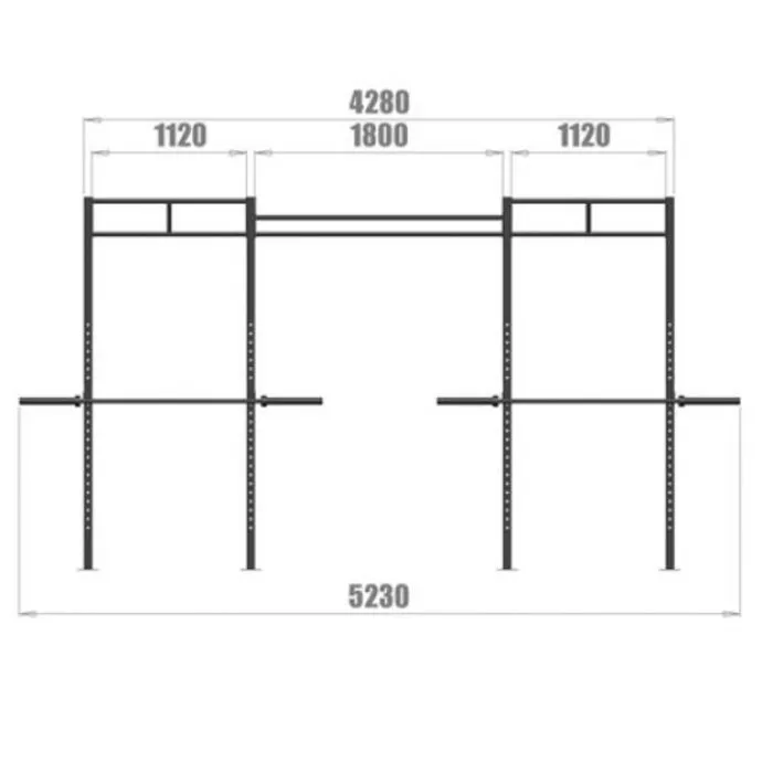 PTessentials Wall Mount Crossfit Rig V15
