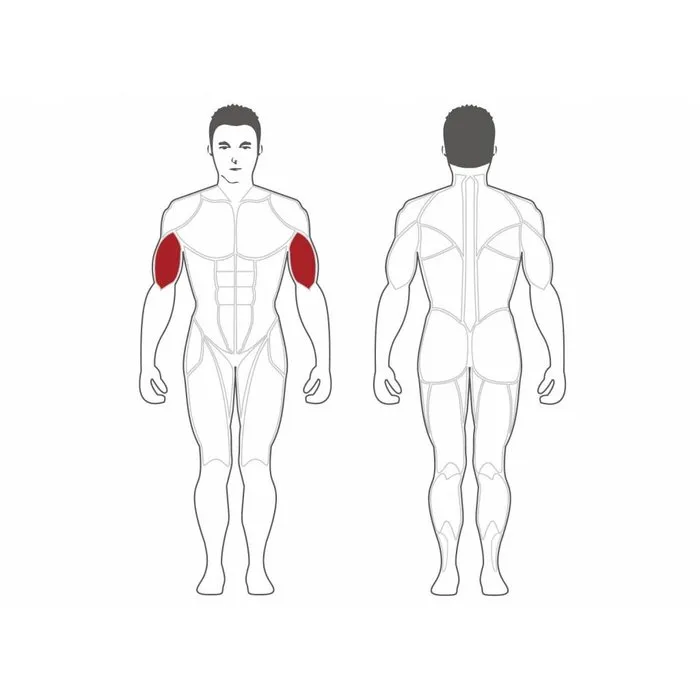 Steelflex Plate Loaded Biceps Curl Machine