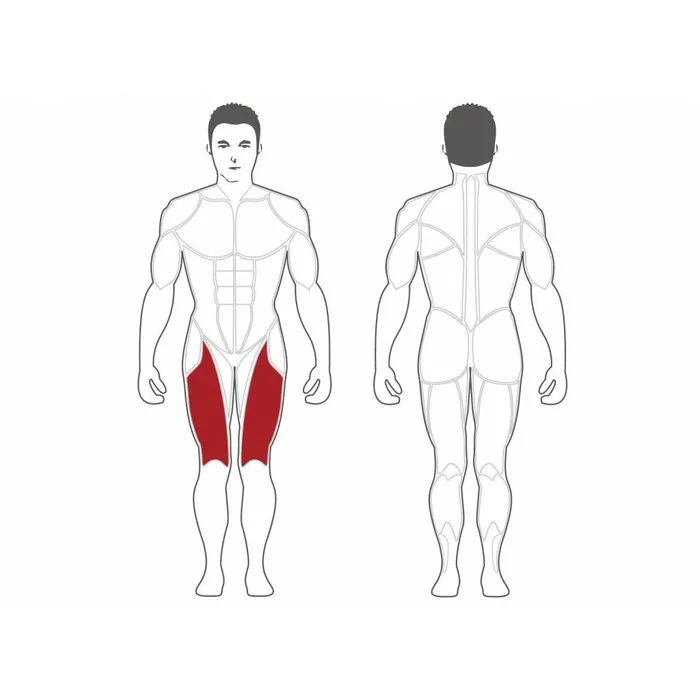 Steelflex Plate Loaded Leg Extension Machine