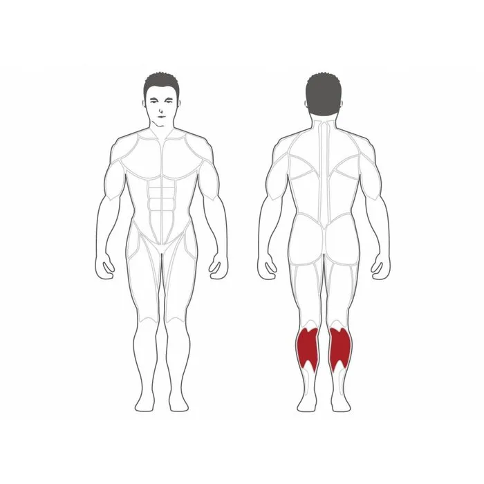 Steelflex Plate Loaded Seated Calf Raise Machine