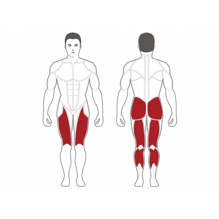 Steelflex Plate Loaded Seated Leg Press Machine